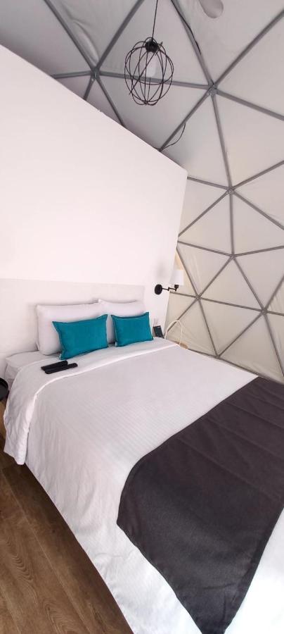 Anzures Black House メキシコシティ エクステリア 写真