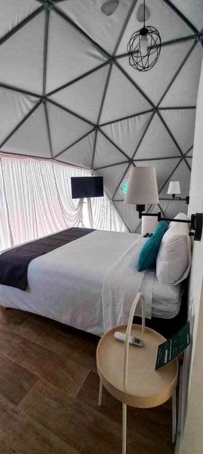 Anzures Black House メキシコシティ エクステリア 写真