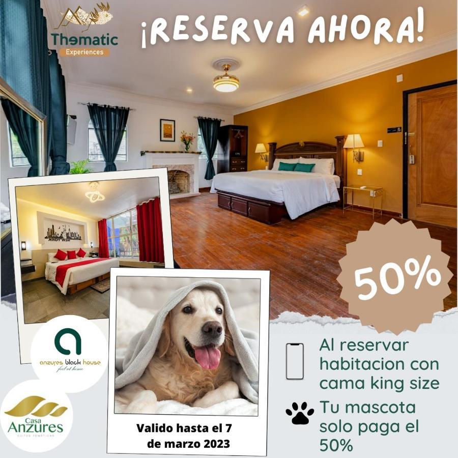 Anzures Black House メキシコシティ エクステリア 写真